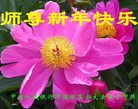 Published on 1/1/2017 ���ֹ�,��½�󷨵��ӹ�ףʦ�������(28��)