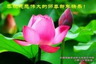 ֹ,ϴ󷨵ӹףʦ(20)