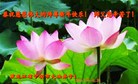 Published on 12/30/2016 ���ֹ�,��½�󷨵��ӹ�ףʦ�������(27��)