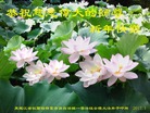 Published on 12/30/2016 ���ֹ�,��½�󷨵��ӹ�ףʦ�������(27��)