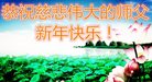 Published on 12/31/2016 ���ֹ�,��½�󷨵��ӹ�ףʦ�������(26��)
