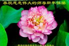 Published on 12/31/2016 ���ֹ�,��½�󷨵��ӹ�ףʦ�������(26��)