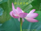 Published on 12/31/2016 ���ֹ�,��½�󷨵��ӹ�ףʦ�������(26��)
