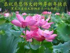 Published on 12/31/2016 ���ֹ�,��½�󷨵��ӹ�ףʦ�������(26��)