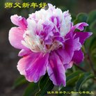 Published on 12/31/2016 ���ֹ�,��½�󷨵��ӹ�ףʦ�������(26��)