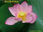 Published on 12/31/2016 ���ֹ�,��½�󷨵��ӹ�ףʦ�������(26��)