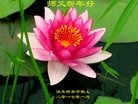 Published on 12/31/2016 ���ֹ�,��½�󷨵��ӹ�ףʦ�������(26��)