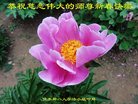 Published on 12/31/2016 ���ֹ�,��½�󷨵��ӹ�ףʦ�������(26��)