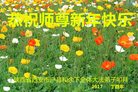 ֹ,󷨵ӹףʦ(19)