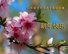 Published on 12/31/2016 ���ֹ�,��½�󷨵��ӹ�ףʦ�������(26��)