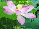 Published on 12/31/2016 ���ֹ�,��½�󷨵��ӹ�ףʦ�������(26��)