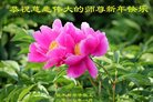 Published on 12/31/2016 ���ֹ�,��½�󷨵��ӹ�ףʦ�������(26��)