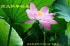 Published on 12/31/2016 ���ֹ�,��½�󷨵��ӹ�ףʦ�������(26��)