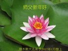 Published on 12/31/2016 ���ֹ�,��½�󷨵��ӹ�ףʦ�������(26��)