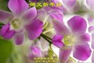Published on 12/31/2016 ���ֹ�,��½�󷨵��ӹ�ףʦ�������(26��)