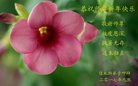 Published on 12/31/2016 ���ֹ�,��½�󷨵��ӹ�ףʦ�������(26��)