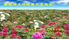 Published on 12/31/2016 ���ֹ�,��½�󷨵��ӹ�ףʦ�������(26��)