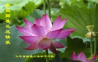 Published on 12/31/2016 ���ֹ�,��½�󷨵��ӹ�ףʦ�������(26��)