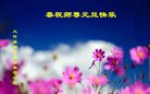 Published on 12/31/2016 ���ֹ�,��½�󷨵��ӹ�ףʦ�������(26��)
