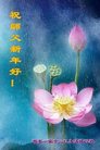 ֹ,󷨵ӹףʦ(19)
