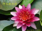Published on 12/30/2016 ���ֹ�,��½�󷨵��ӹ�ףʦ�������(27��)