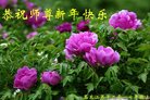 Published on 12/30/2016 ���ֹ�,��½�󷨵��ӹ�ףʦ�������(27��)