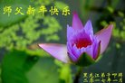 Published on 12/30/2016 ���ֹ�,��½�󷨵��ӹ�ףʦ�������(27��)