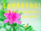 Published on 12/30/2016 ���ֹ�,��½�󷨵��ӹ�ףʦ�������(27��)