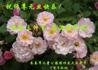 Published on 1/1/2017 ���ֹ�,��½�󷨵��ӹ�ףʦ�������(28��)