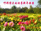 Published on 12/31/2016 ���ֹ�,��½�󷨵��ӹ�ףʦ�������(34��)