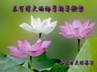 Published on 12/31/2016 ���ֹ�,��½�󷨵��ӹ�ףʦ�������(34��)