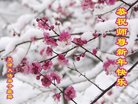 Published on 12/31/2016 ���ֹ�,��½�󷨵��ӹ�ףʦ�������(39��)