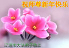 Published on 12/31/2016 ���ֹ�,��½�󷨵��ӹ�ףʦ�������(39��)