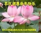 Published on 12/31/2016 ���ֹ�,��½�󷨵��ӹ�ףʦ�������(39��)
