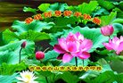 Published on 12/30/2016 ���ֹ�,��½�󷨵��ӹ�ףʦ�������(37��)