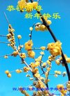 Published on 12/30/2016 ���ֹ�,��½�󷨵��ӹ�ףʦ�������(27��)