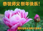 Published on 12/30/2016 ���ֹ�,��½�󷨵��ӹ�ףʦ�������(27��)