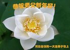 Published on 12/31/2016 ���ֹ�,��½�󷨵��ӹ�ףʦ�������(34��)