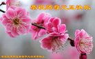 Published on 1/1/2017 ���ֹ�,��½�󷨵��ӹ�ףʦ�������(30��)