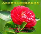 Published on 12/31/2016 ���ֹ�,��½�󷨵��ӹ�ףʦ�������(25��)