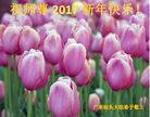 Published on 12/31/2016 ���ֹ�,��½�󷨵��ӹ�ףʦ�������(25��)