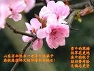 Published on 1/1/2017 ���ֹ�,�޷��ִ󷨡����˵ø�