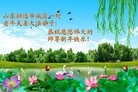 Published on 1/1/2017 ���ֹ�,�޷��ִ󷨡����˵ø�