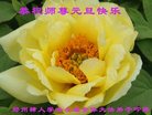 Published on 12/31/2016 ���ֹ�,��½�󷨵��ӹ�ףʦ�������(34��)
