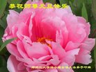 Published on 12/31/2016 ���ֹ�,��½�󷨵��ӹ�ףʦ�������(34��)