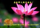 Published on 1/1/2017 ���ֹ�,��½����ѧ��С�龴��ʦ�������