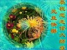 Published on 1/1/2017 ���ֹ�,�������޴󷨷������桡�ж�ʦ���ȱ�ָ��