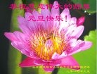 Published on 1/1/2017 ���ֹ�,�޷��ִ󷨡����˵ø�