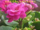 Published on 12/30/2016 ���ֹ�,��½�󷨵��ӹ�ףʦ�������(27��)