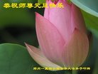 Published on 12/31/2016 ���ֹ�,��½�󷨵��ӹ�ףʦ�������(34��)